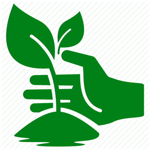 Plants & Nursery