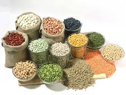 Organic Foods & Grain Pulses