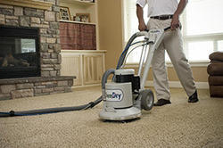 Carpet Dry Cleaner Cleaning Services