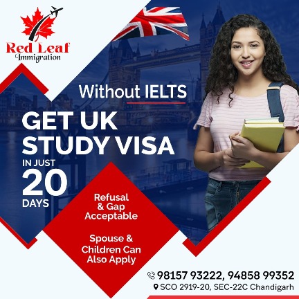 Red Leaf Immigration Chandigarh 