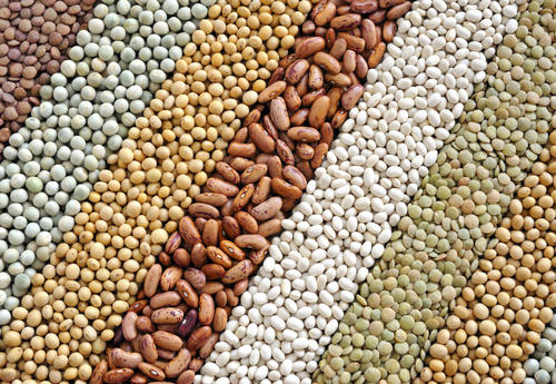 Cereals And Pulses