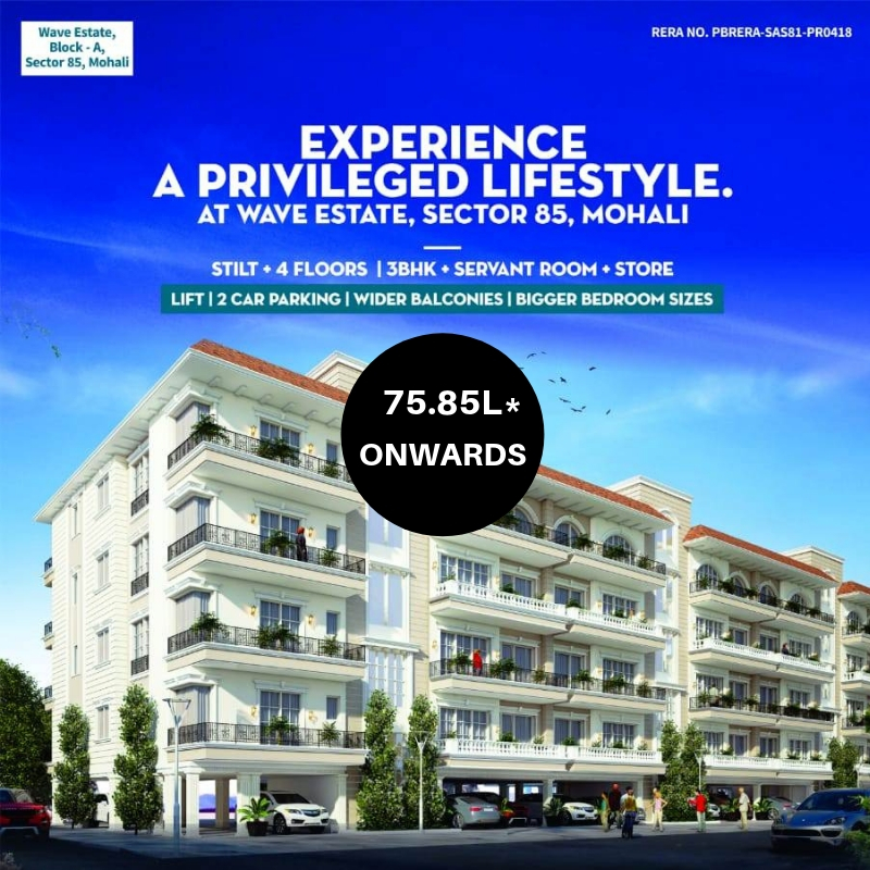 3+1+1 BHK Luxurious Apartments In Canvas Sector 85 Mohali Wave Estate